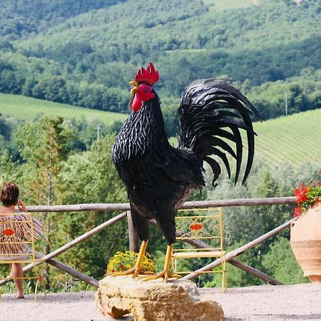 Agriturismo Borgo Il Bonagino Radda in Chianti Εξωτερικό φωτογραφία