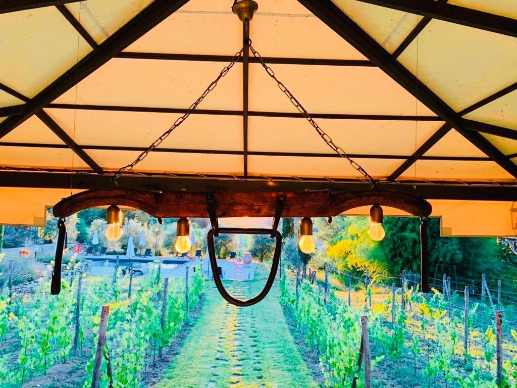 Agriturismo Borgo Il Bonagino Radda in Chianti Εξωτερικό φωτογραφία