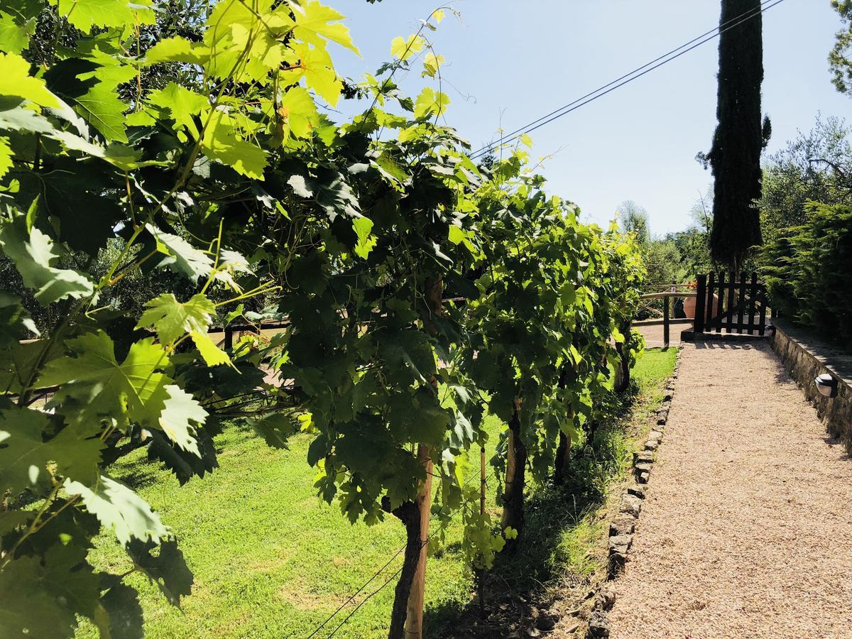 Agriturismo Borgo Il Bonagino Radda in Chianti Εξωτερικό φωτογραφία