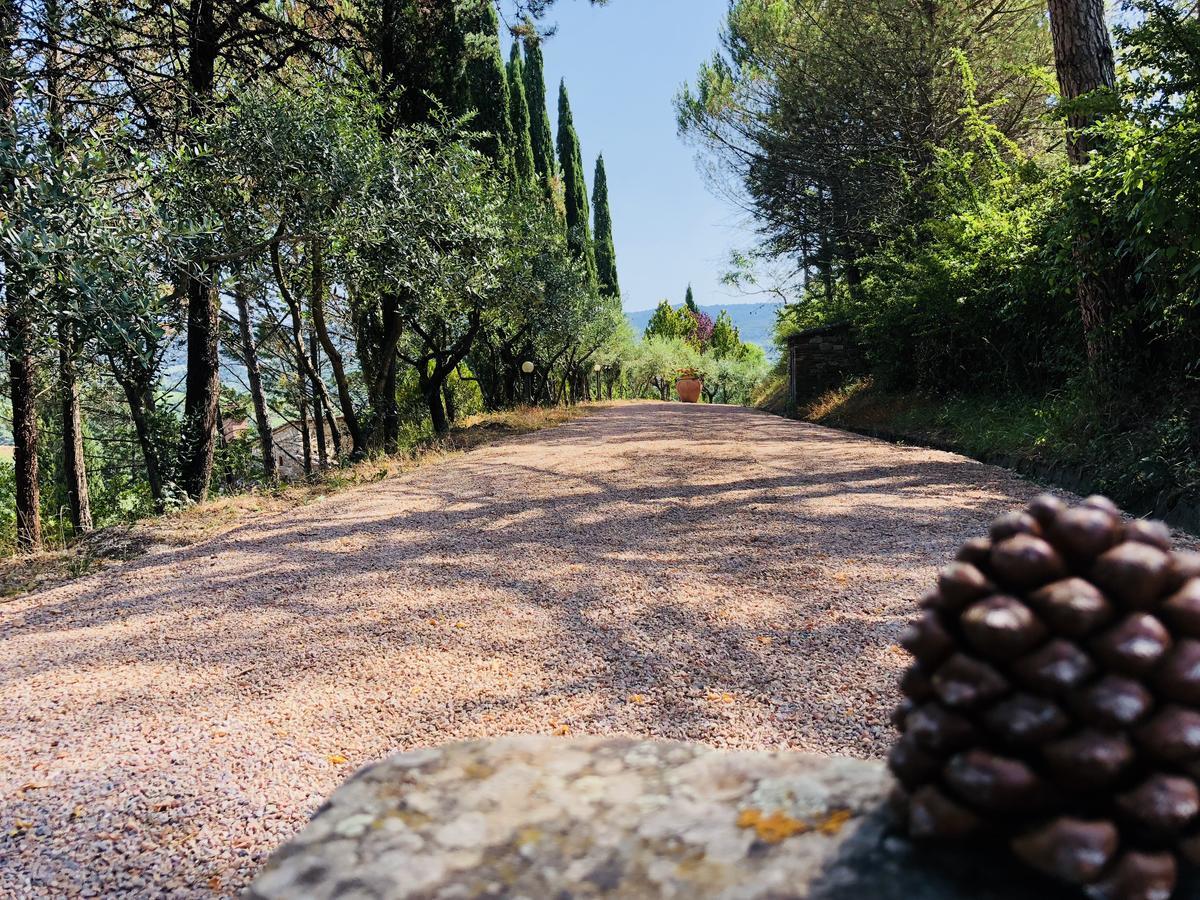 Agriturismo Borgo Il Bonagino Radda in Chianti Εξωτερικό φωτογραφία